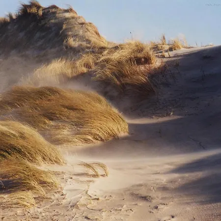 Egmond-vakantiewoningen *