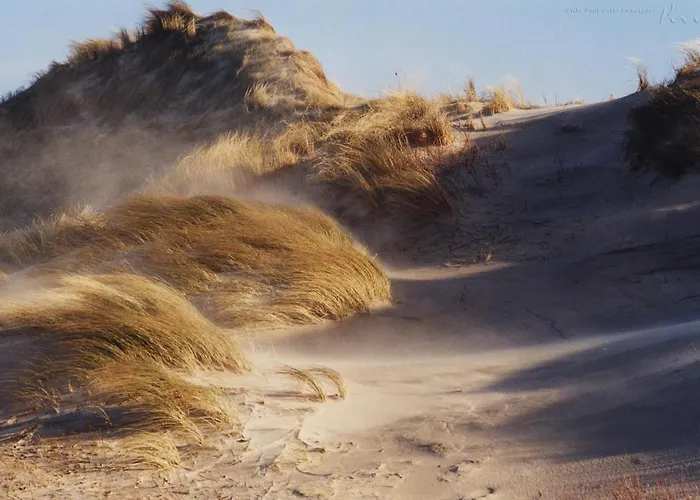 Egmond-vakantiewoningen *