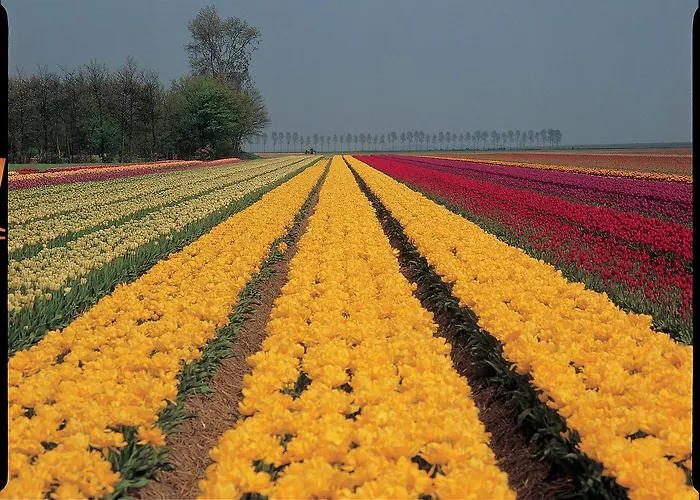 Prázdninový dům Egmond-vakantiewoningen Egmond aan Zee